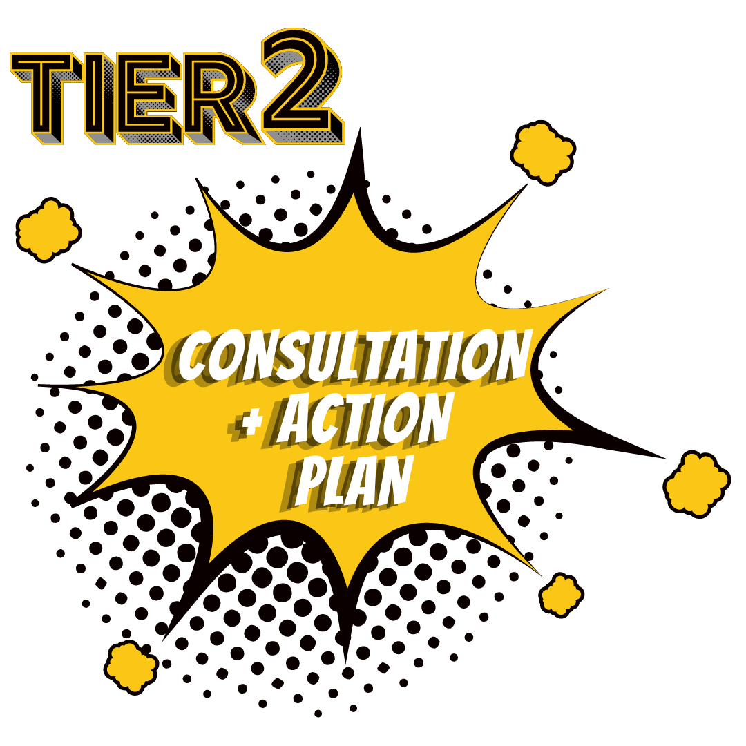 Tier 2 Consultation & Action Plan