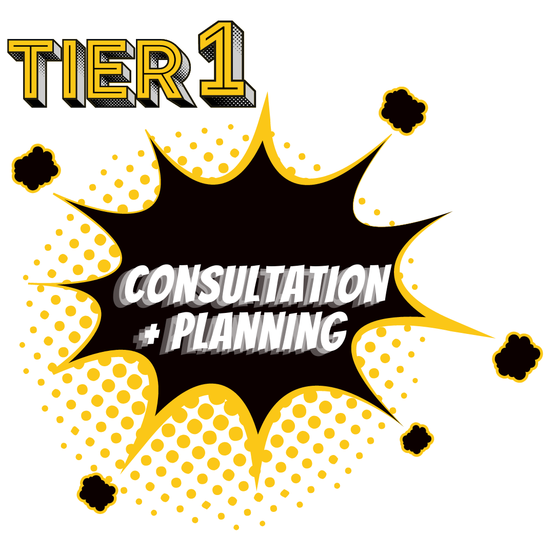 Tier 1 Consultation & Planning