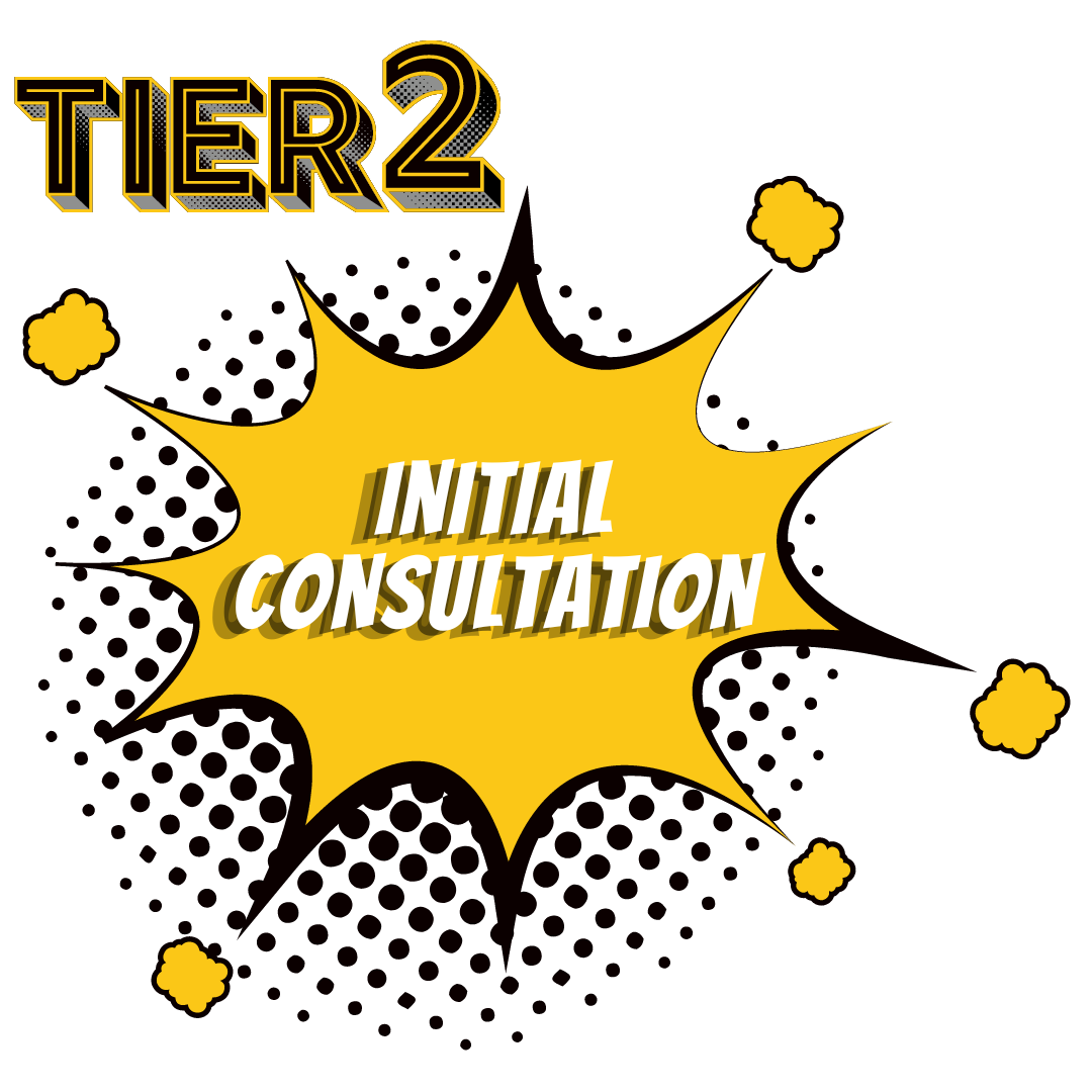 Tier 2 Initial Consultation